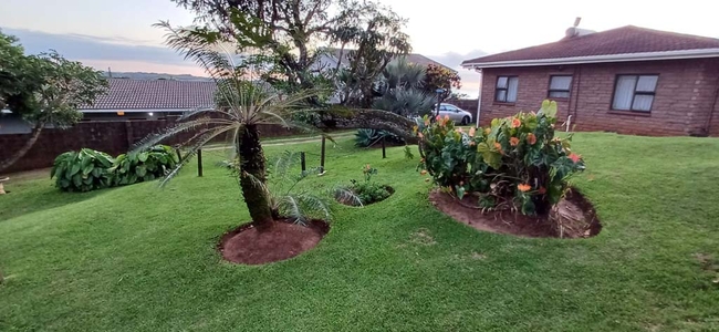 Mi Casa Su Casa